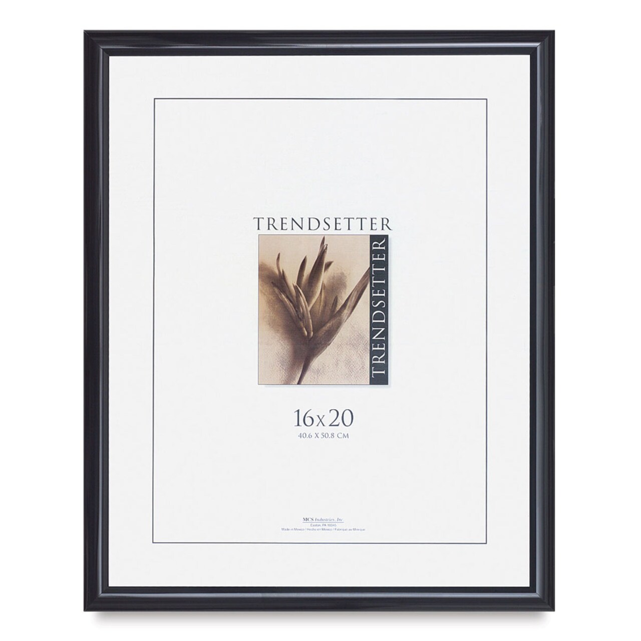 16x20 poster on sale frame michaels